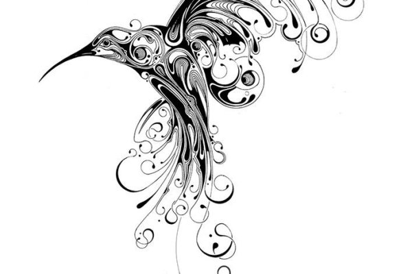 Kraken20 at