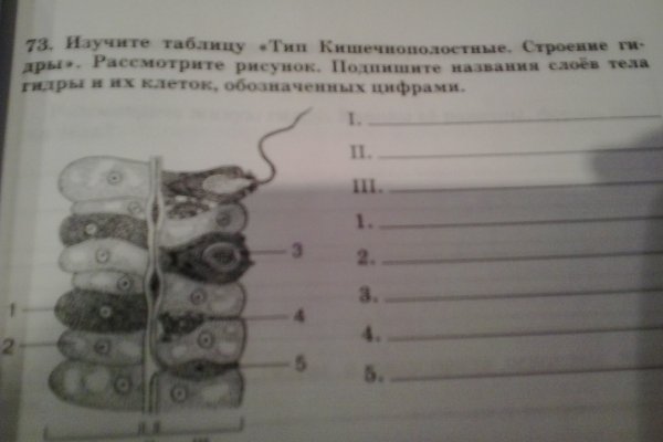 Ссылка на кракен krawebes