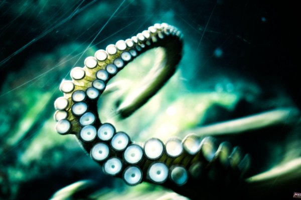 Kraken магазин интернет