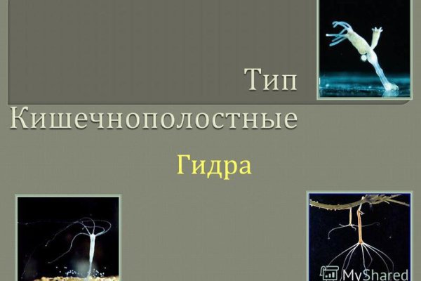 Кракен даркнет только через