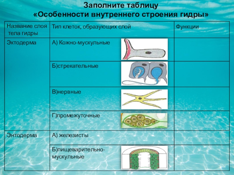 Кракен даркнет аккаунт